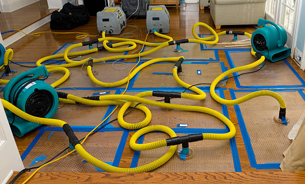Professional Water Extraction technician working in Topton, PA